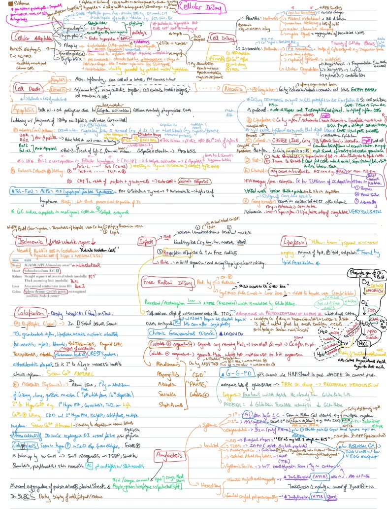 Pathology Summary Notability Gallery