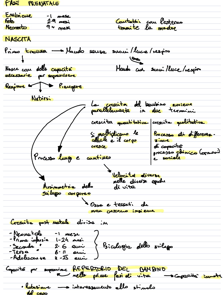 Psicologia Evolutiva Lezione Psicologia 12 Gen 2022 Notability Gallery