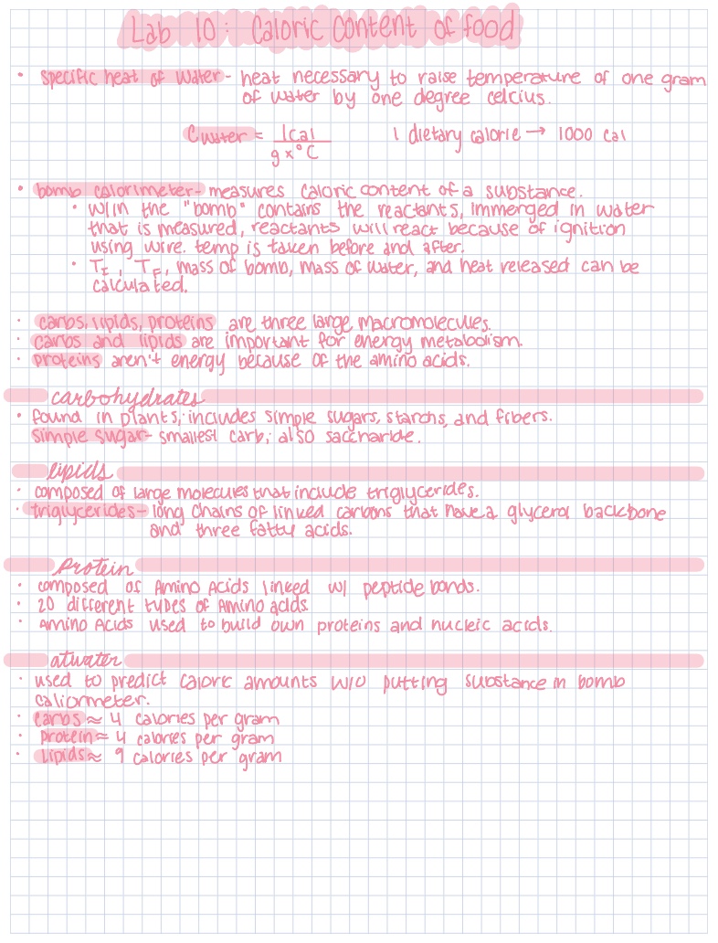 Lab 10 Chem Notability Gallery