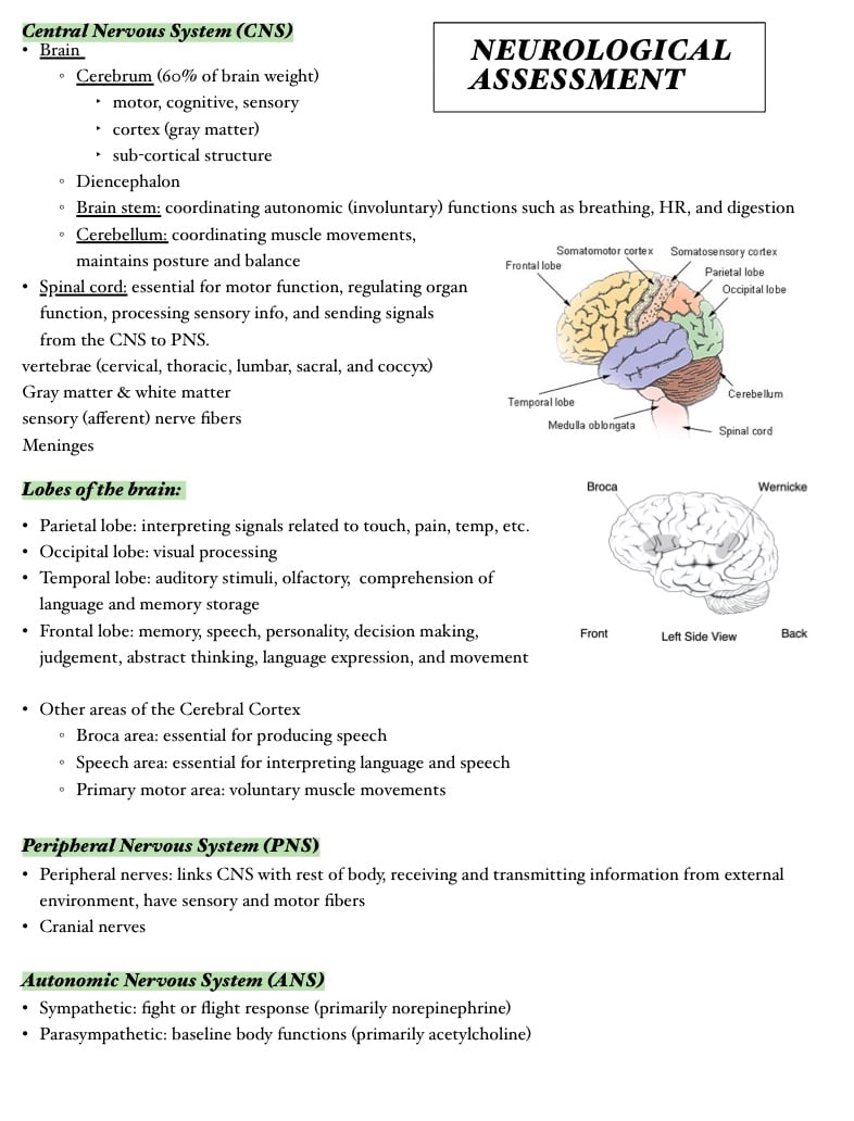 Neurological Assessment Adult Health Notability Gallery