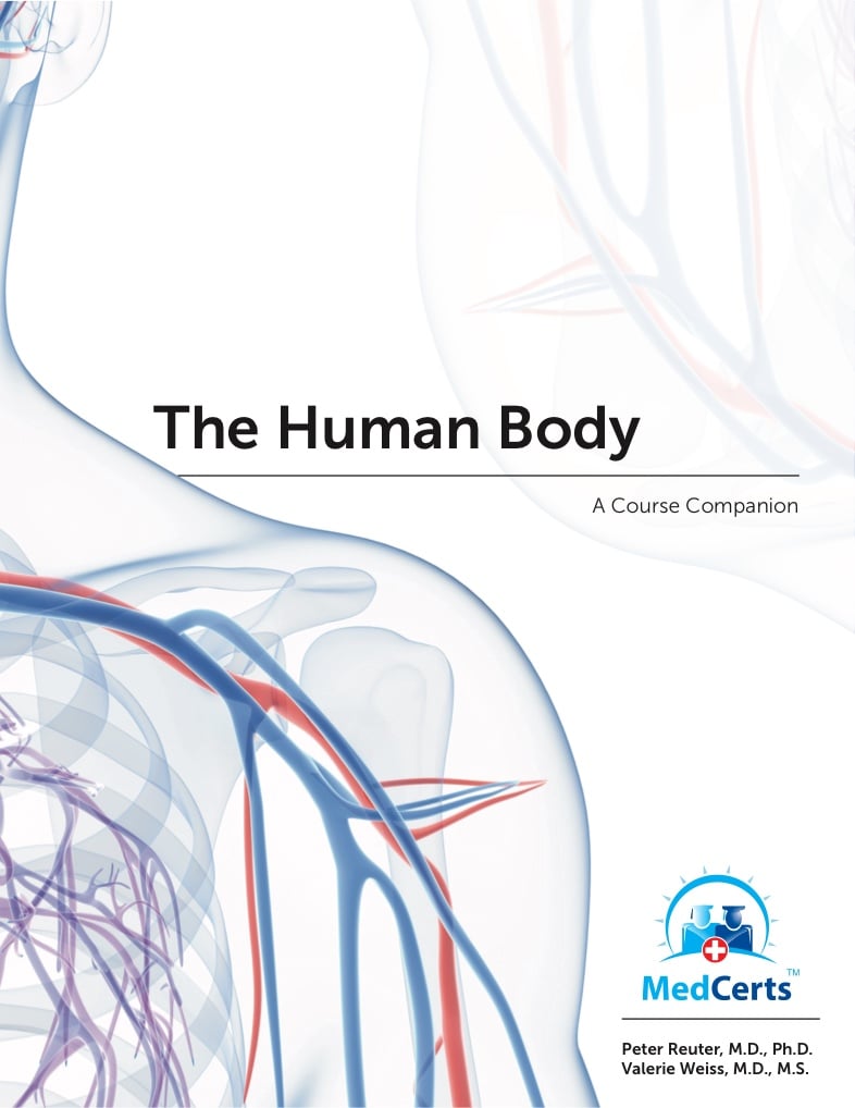 Module The Human Body Notability Gallery