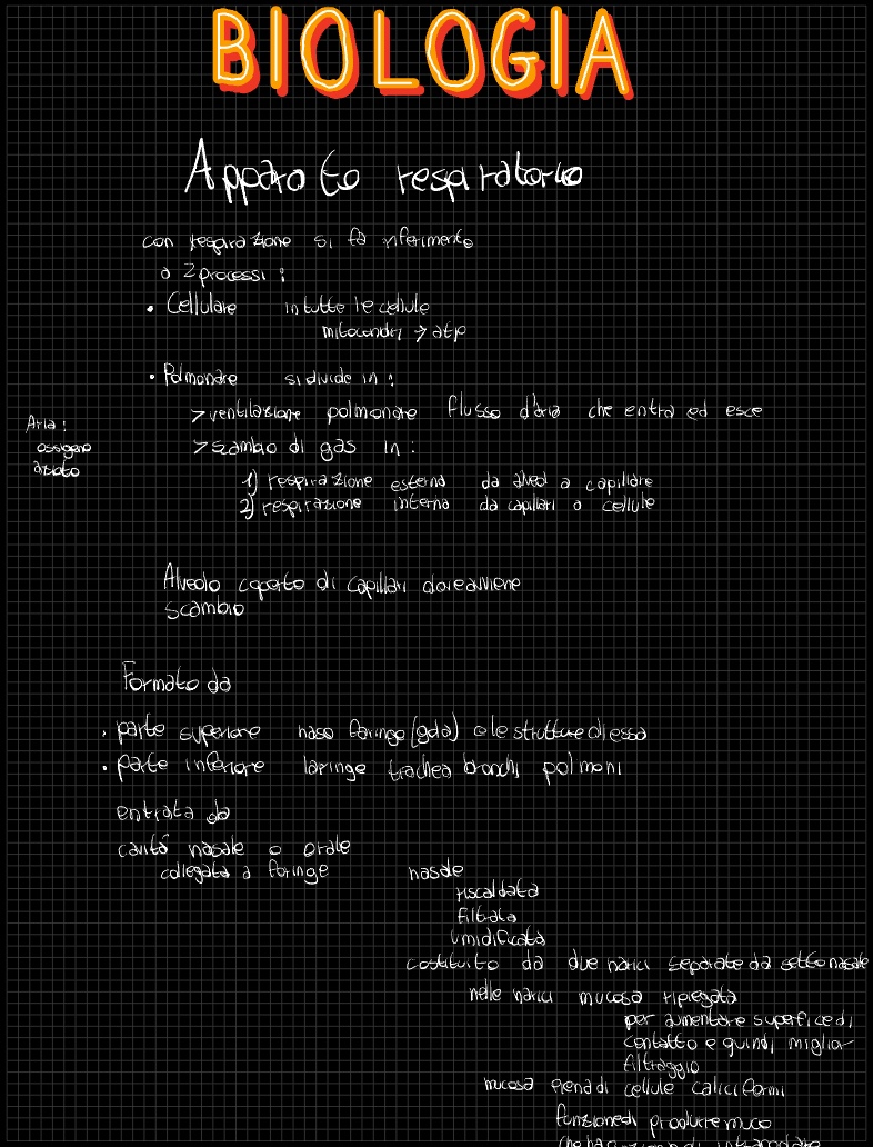 Biologia Apparato Respiratorio Notability Gallery