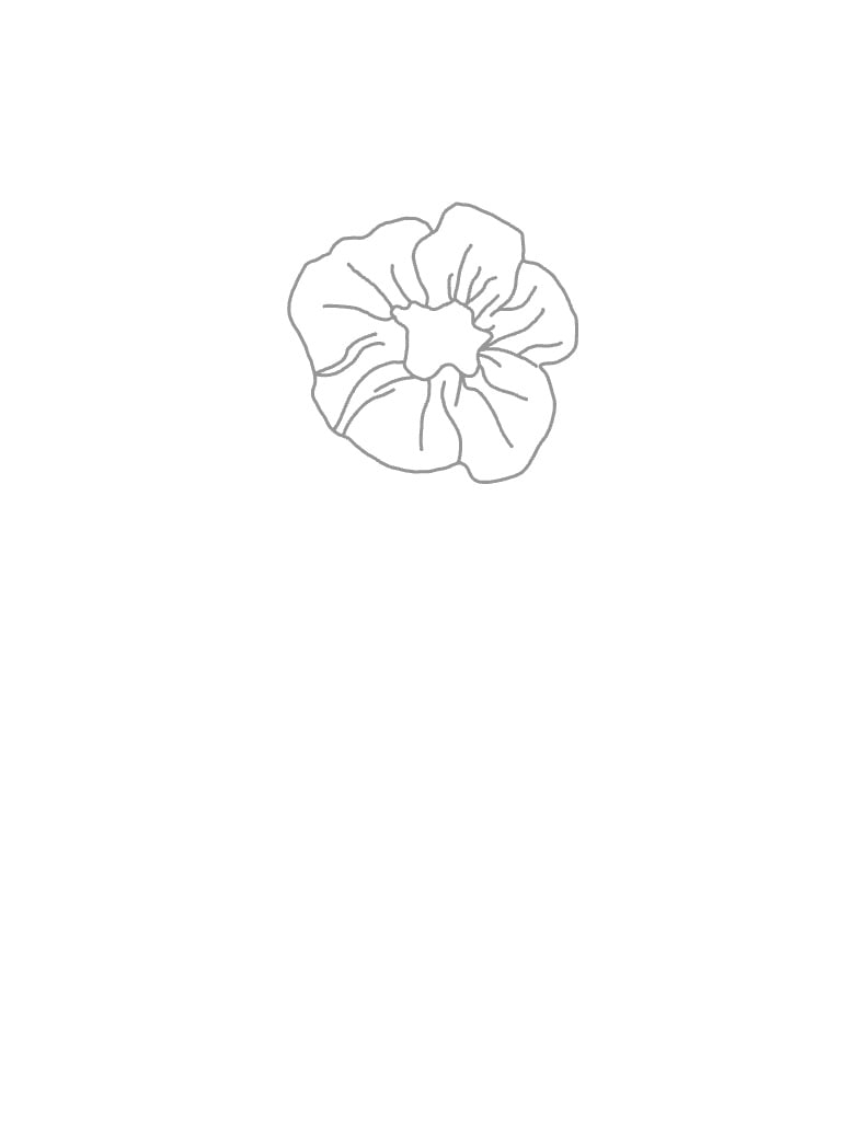 Scrunchie Or Flower Notability Gallery