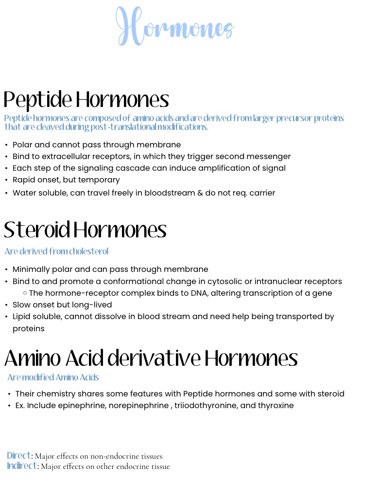 Hormones - Notability Gallery
