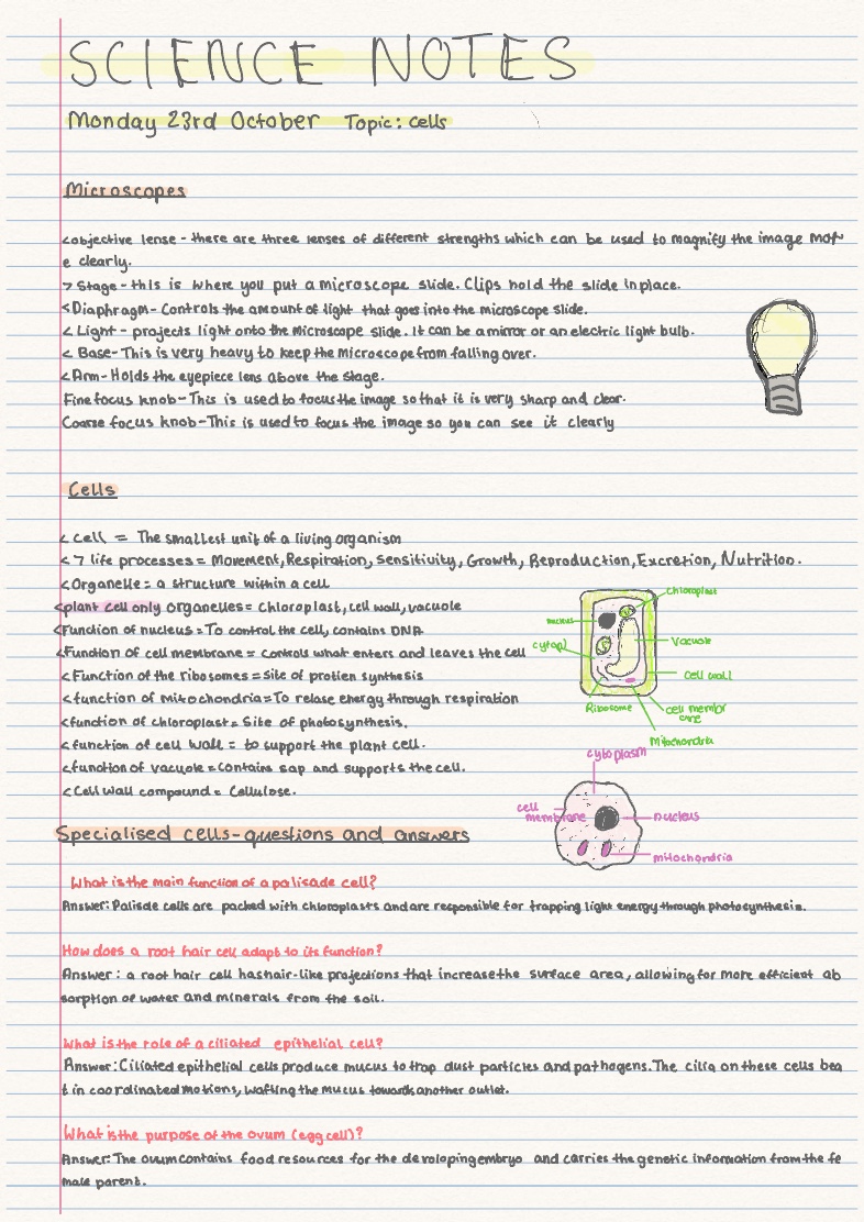 Science Notes - Cells And Body - Notability Gallery