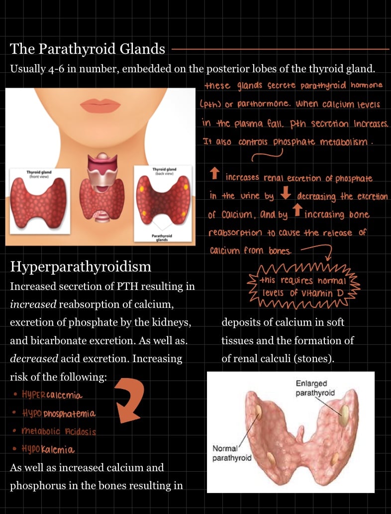 Parathyroid Glands - Notability Gallery