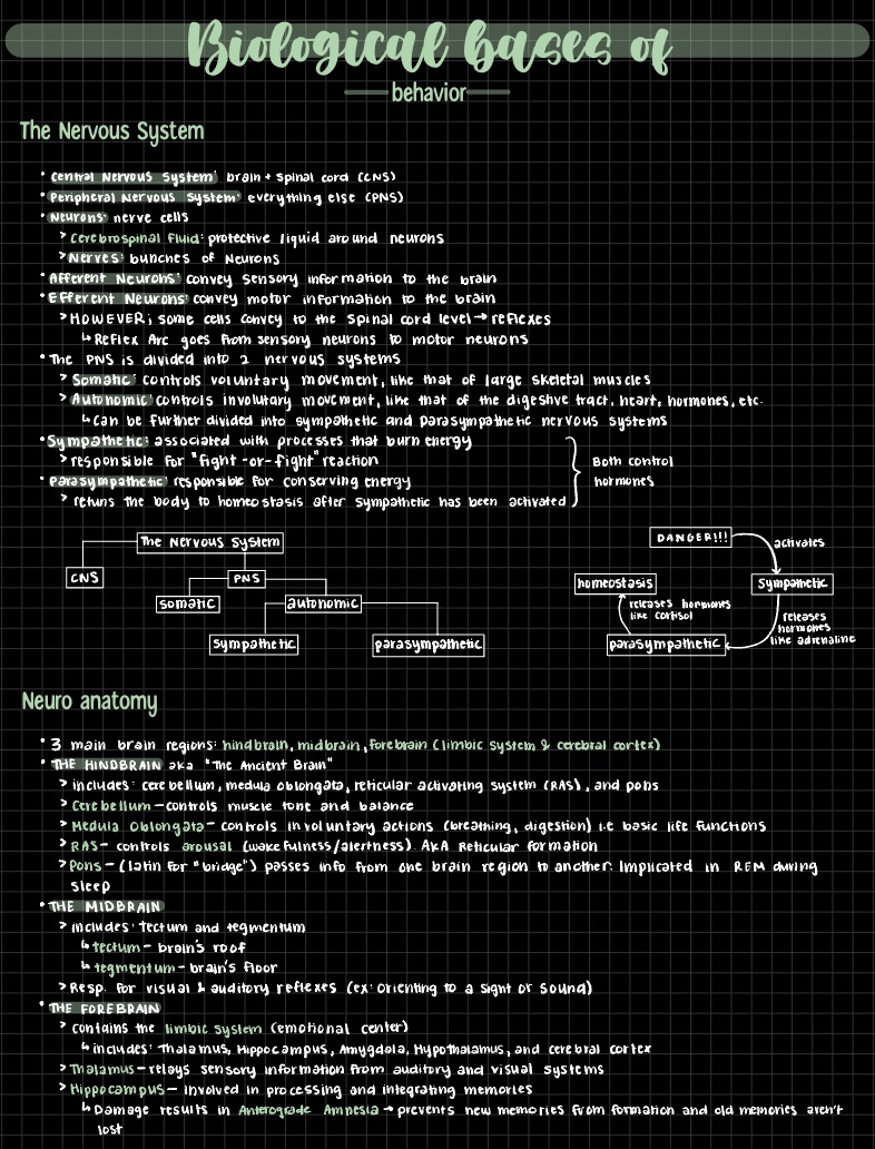 Unit 2: Biological Bases Of Behavior - Notability Gallery