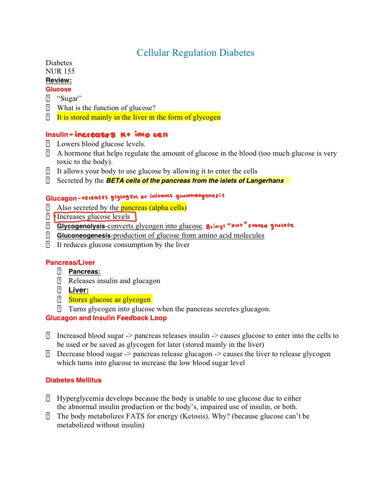 Nursing: Diabetes Notes - Notability Gallery