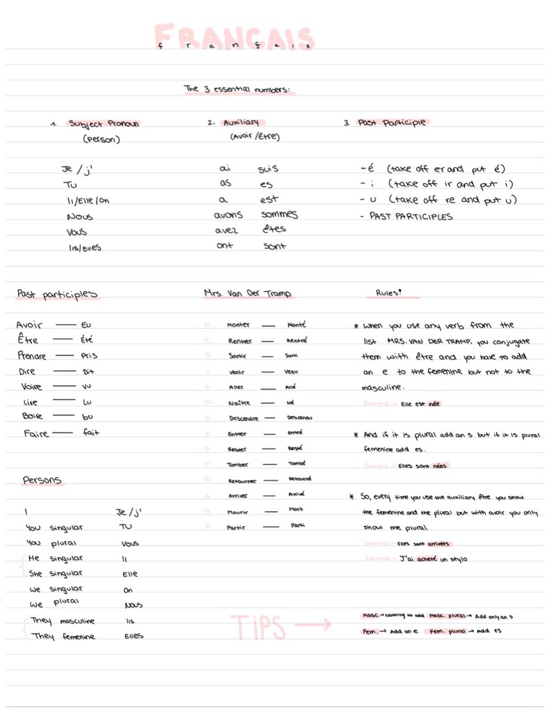 Aesthetic French Study Notes - Notability Gallery