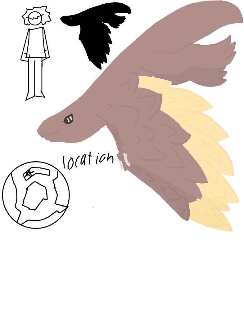 Plana Bird - Notability Gallery