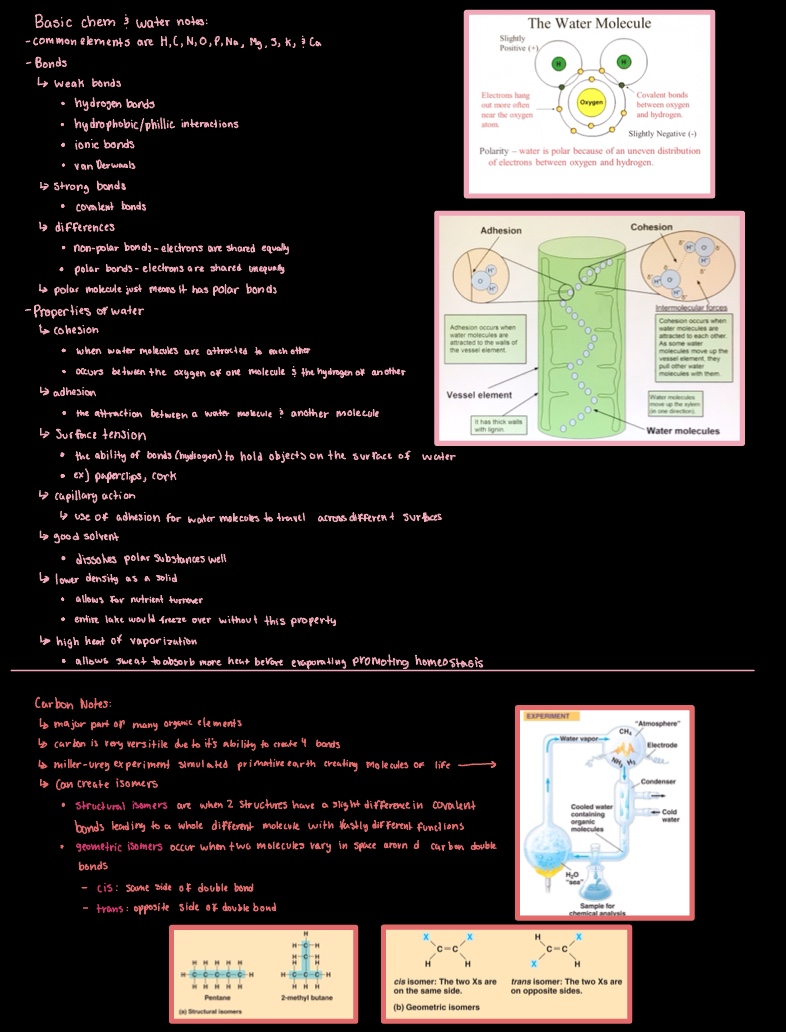AP Biology Class Notes - Chapter 1 - Notability Gallery
