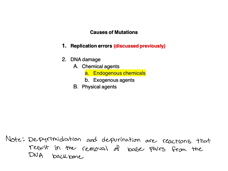 DNA Mutation - Notability Gallery