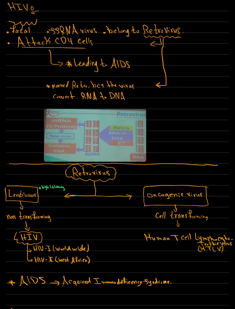 AIDS - Notability Gallery