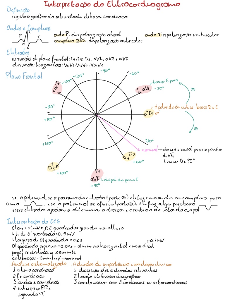 Aula 03 - ECG - Notability Gallery