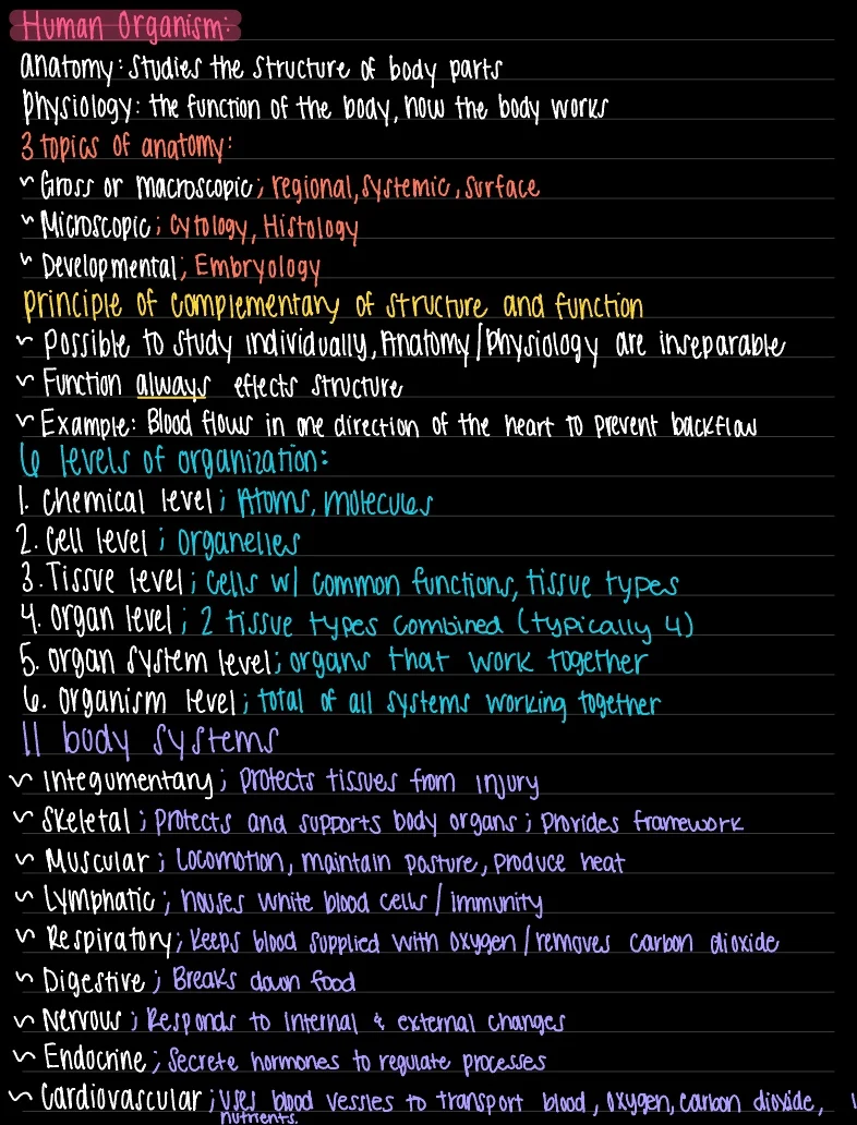 Human Organism Notes - Notability Gallery