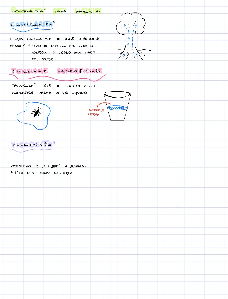 Argomento 2 🔬 - Notability Gallery