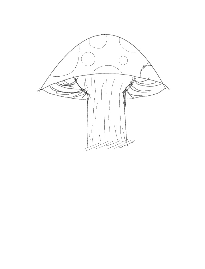 Mushroom 🍄 - Notability Gallery