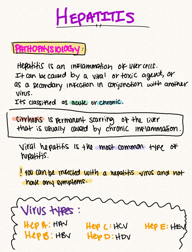 Hepatitis Chapter Notes - Notability Gallery
