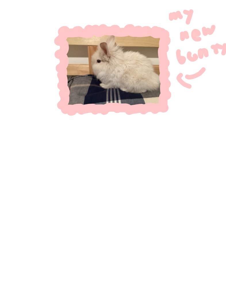My New Bunny - Notability Gallery