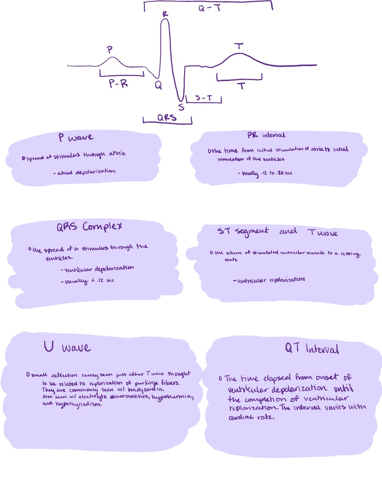 ECG Health Assessment - Notability Gallery