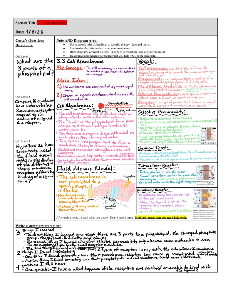 P.14 Section 3.3 Cell Membrane CN - Notability Gallery
