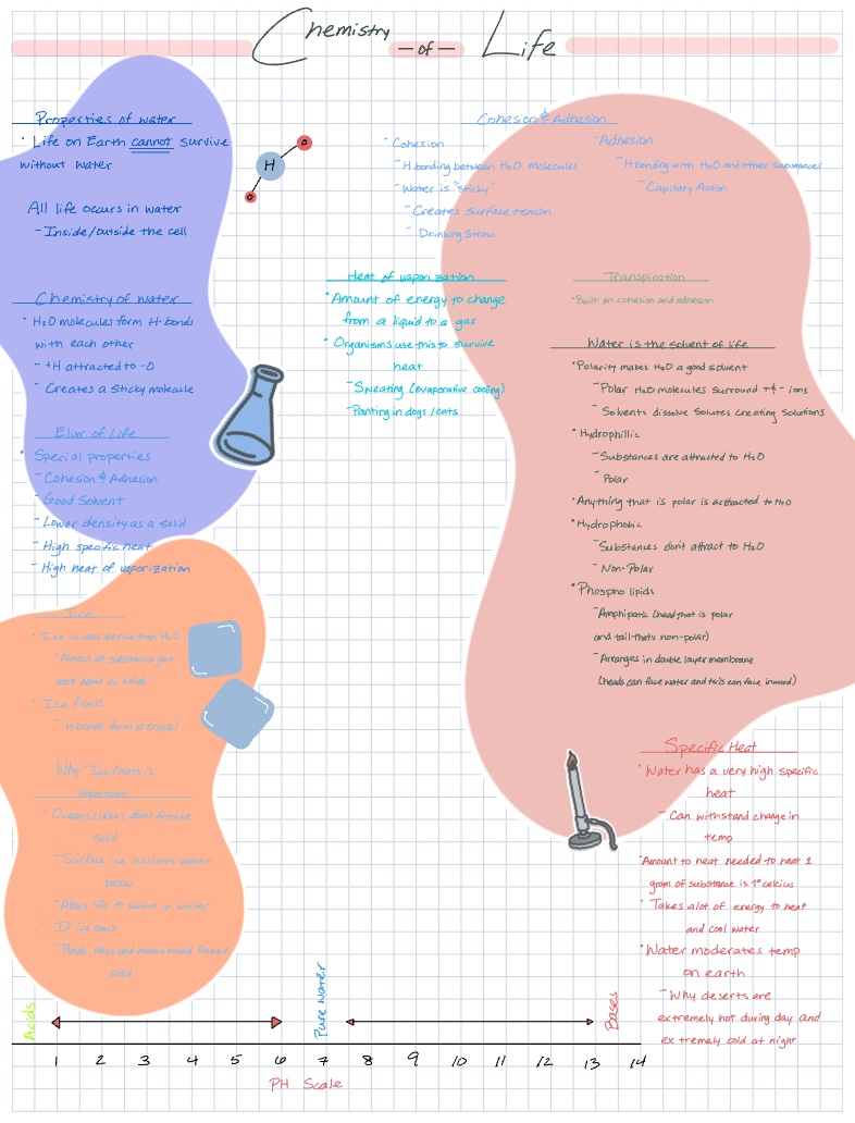 Chemistry Of Life - Notability Gallery