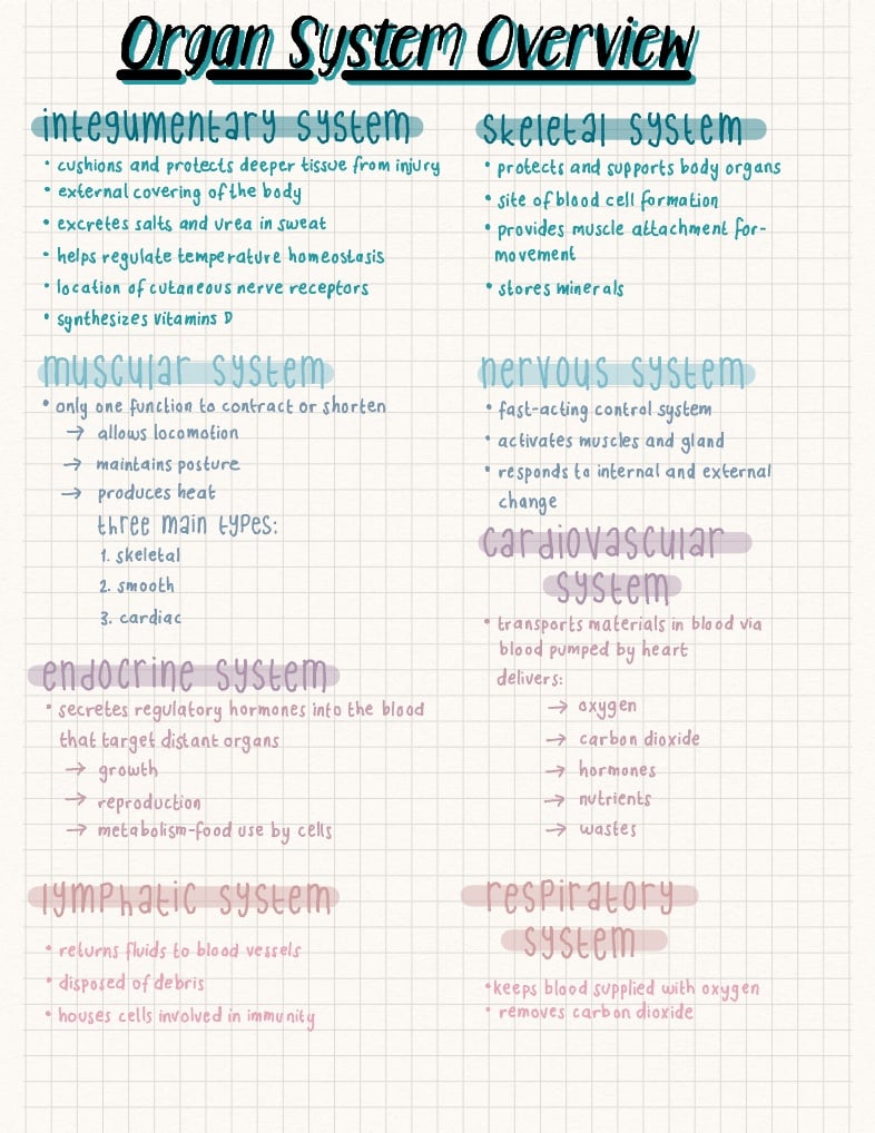Organ System Overview Biology Diagrams