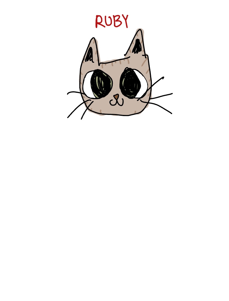 My Friends Cat 😍 - Notability Gallery