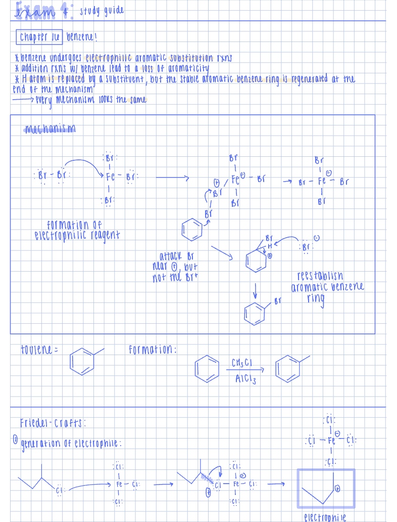 Exam 4: Study Guide - Notability Gallery