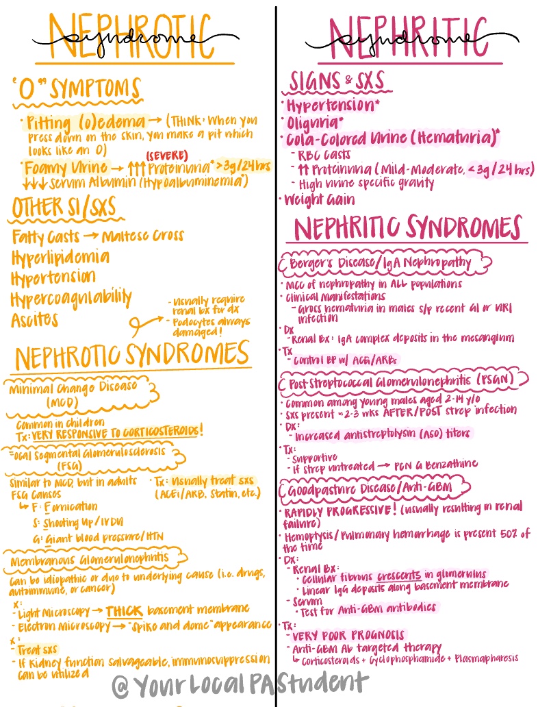 Nephrotic Vs. Nephritic Dump - Notability Gallery