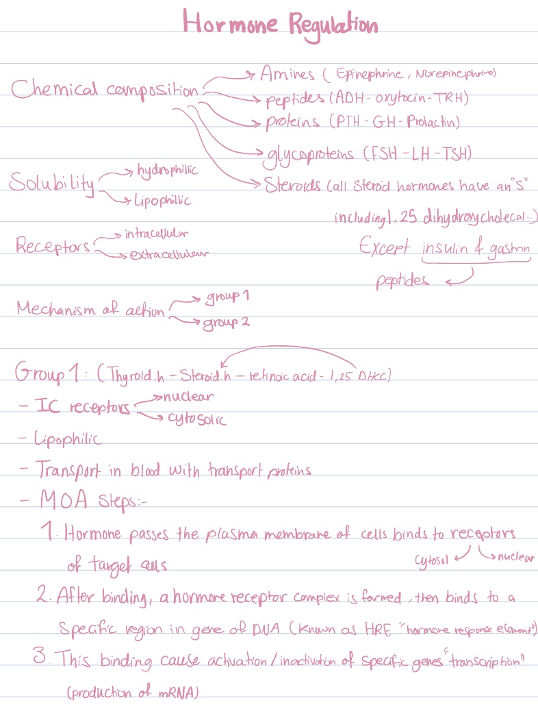Hormone Regulation - Notability Gallery