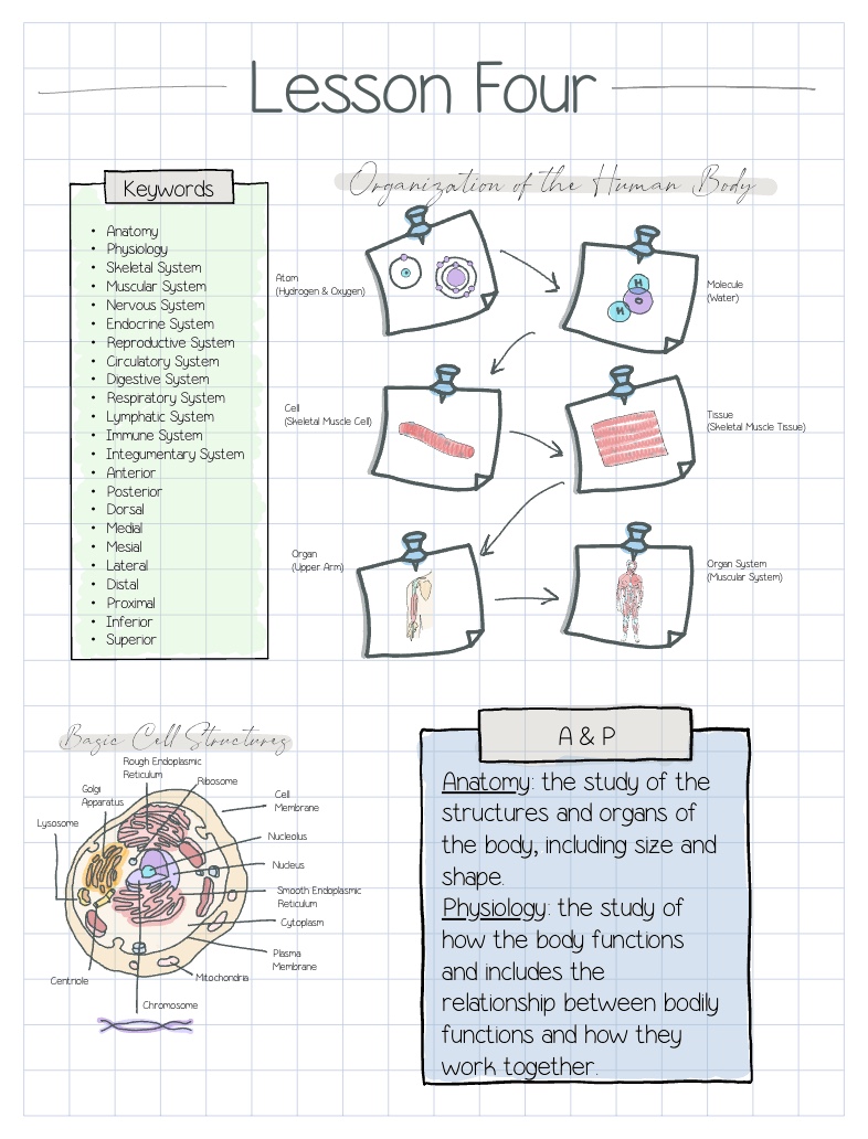 Lesson Four - Notability Gallery