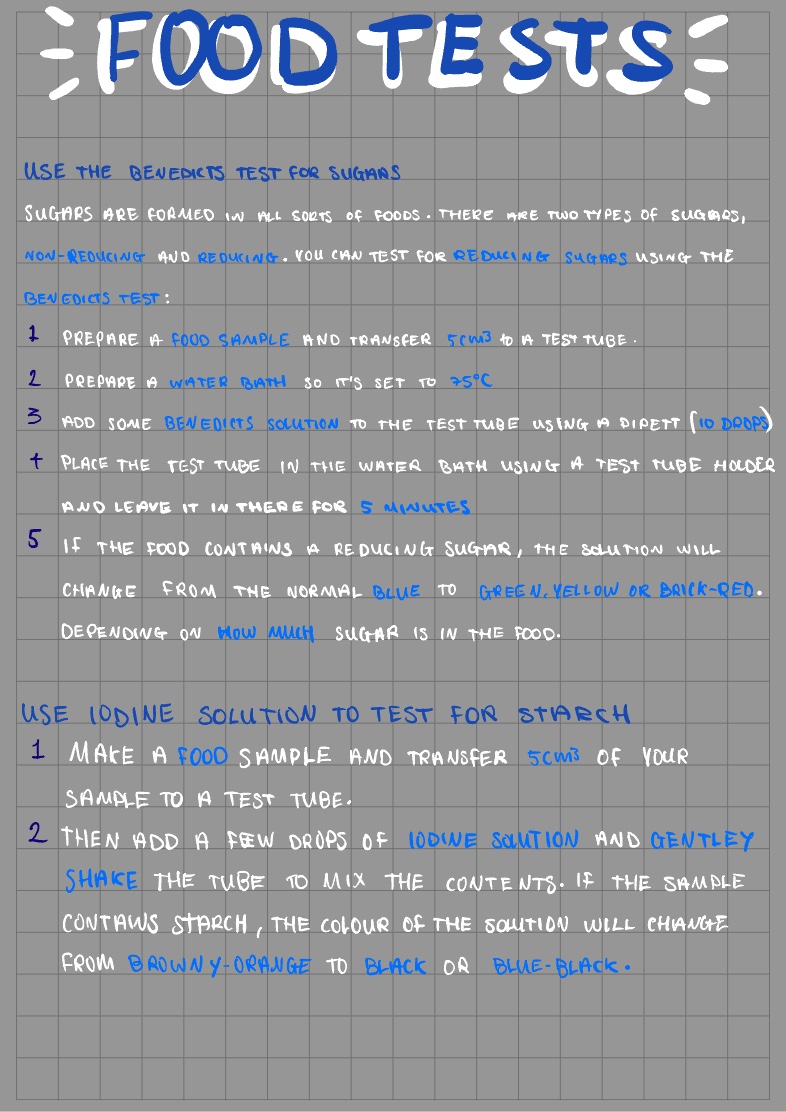 Food Tests - Notability Gallery