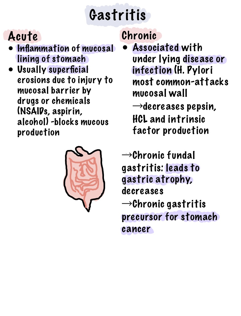 Gastrointestinal Disorders - Notability Gallery