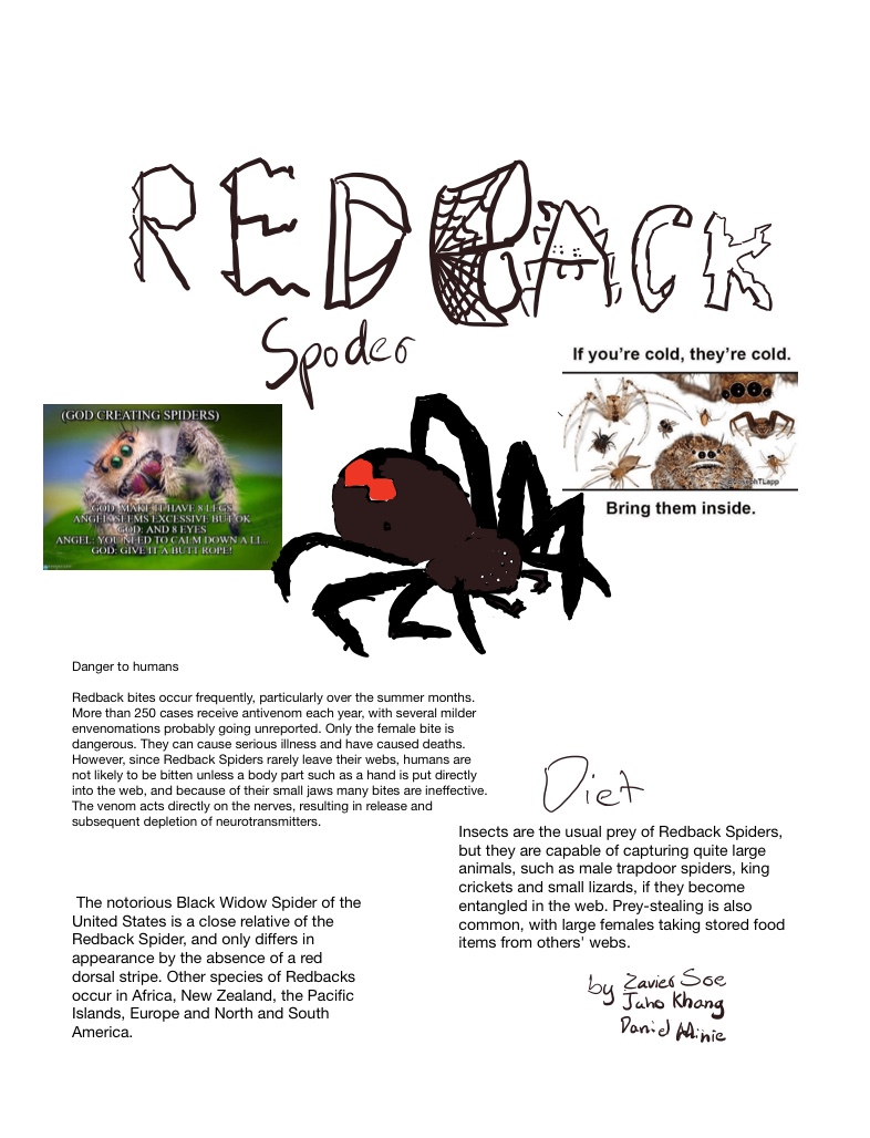 Spoder Reference Redback Spoder - Notability Gallery
