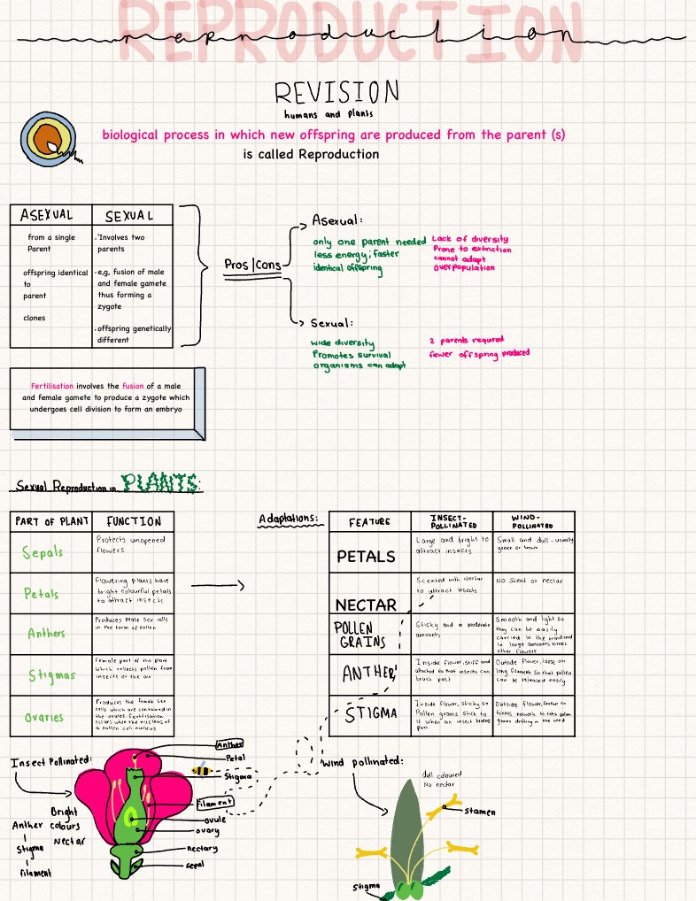 IGCSE BIOLOGY REPRODUCTION NOTES - Notability Gallery