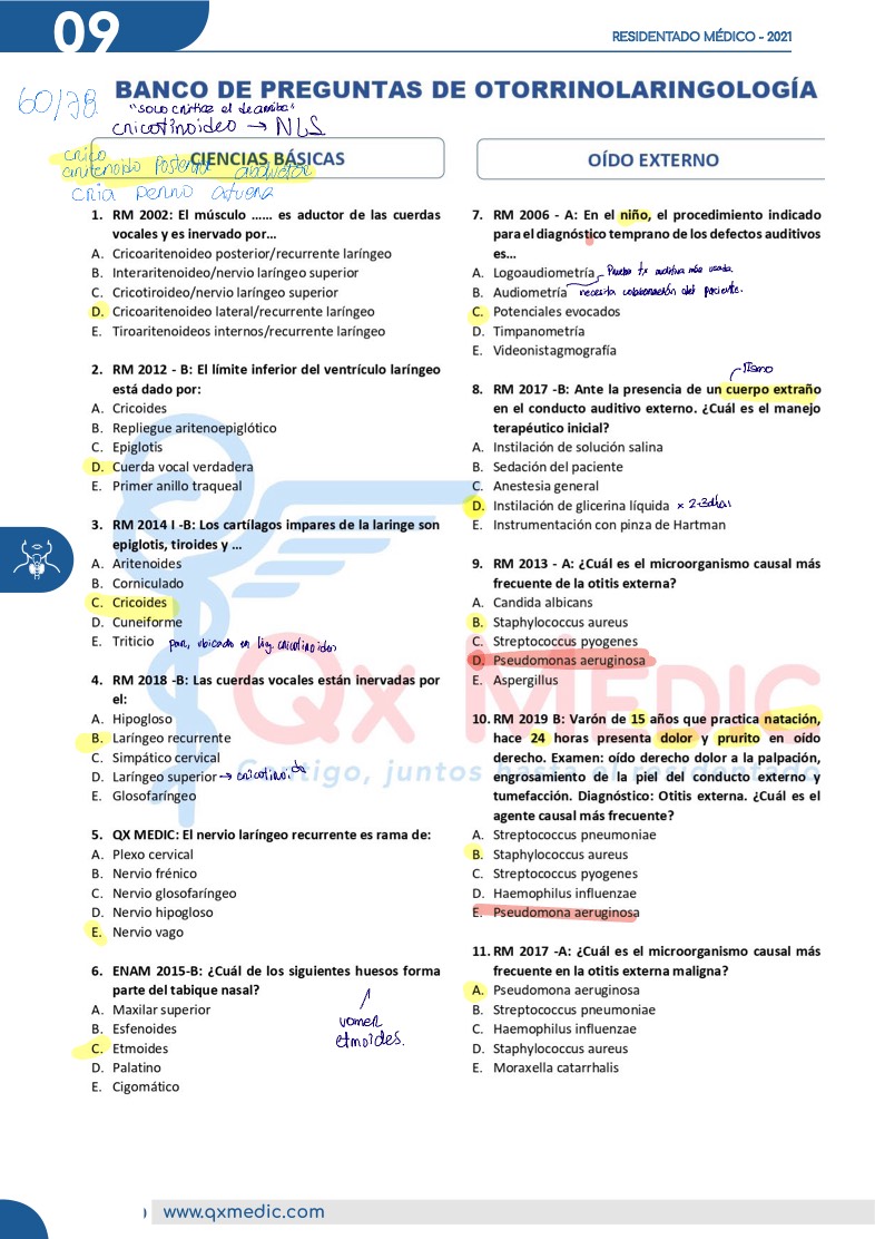 OTORRINOLARINGOLOGÍA BP - Notability Gallery