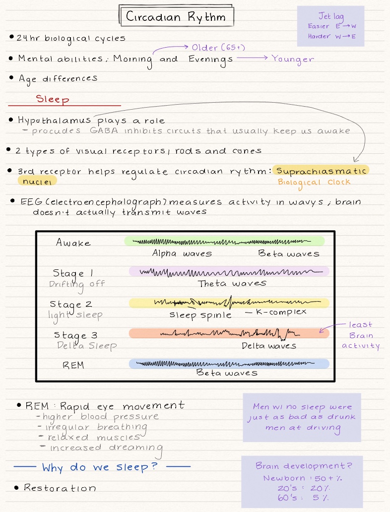 Sleep And Dreams - Notability Gallery