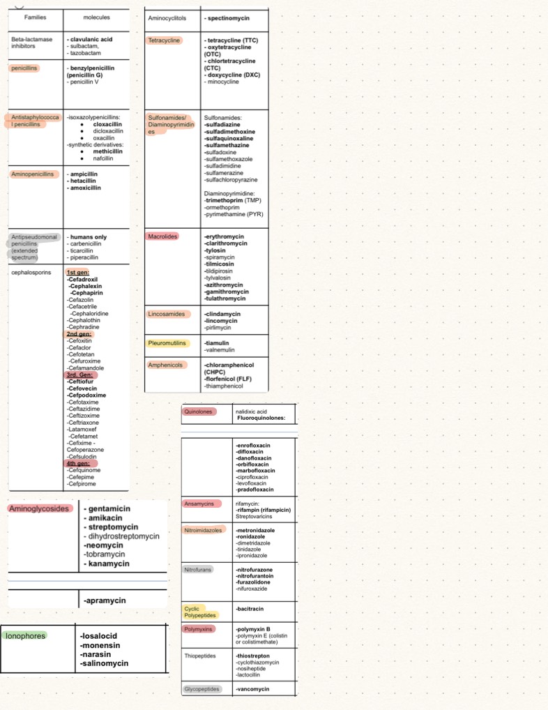 Antimicrobials Cheat Sheet - Notability Gallery