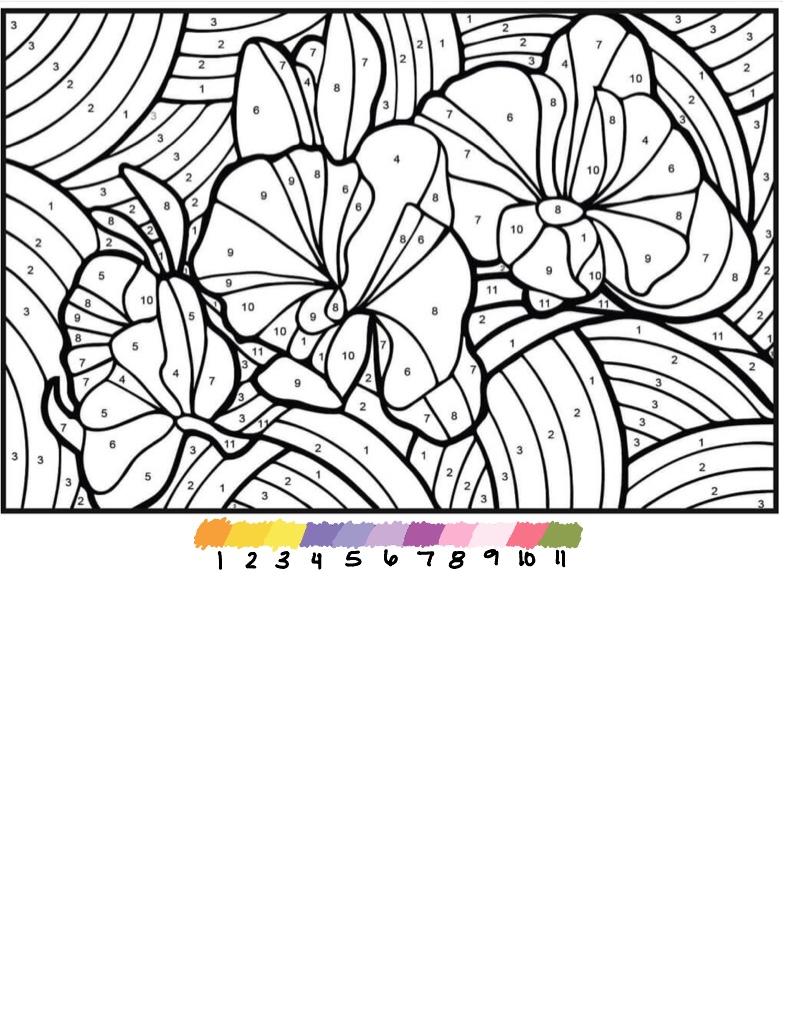 Color By Number orchid Notability Gallery