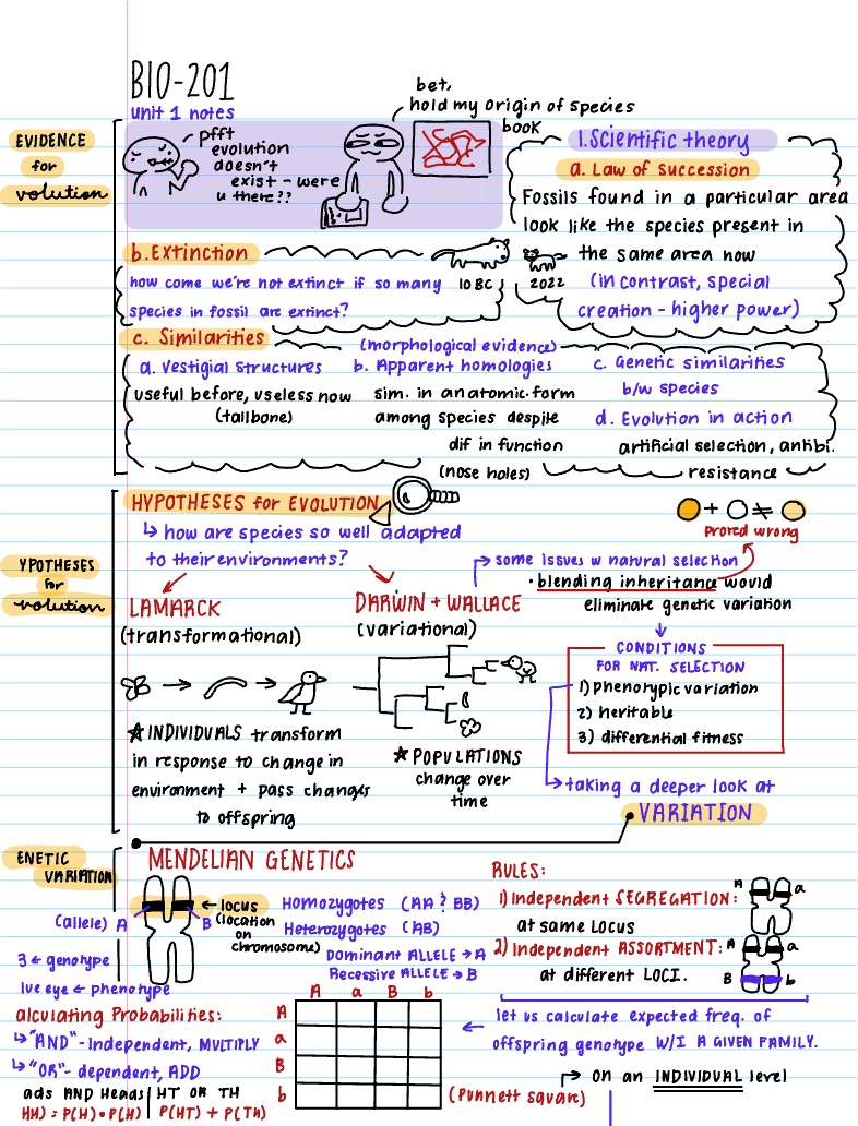 Intro To Evolution - Notability Gallery