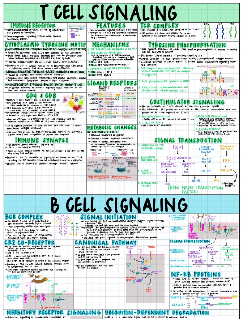 Immunology Notes - Notability Gallery