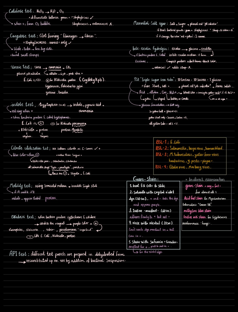 Lab -test-bacteria - Notability Gallery