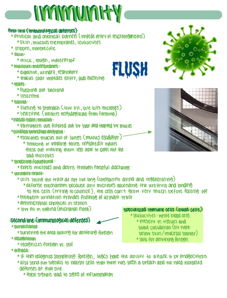 Immunity - Notability Gallery