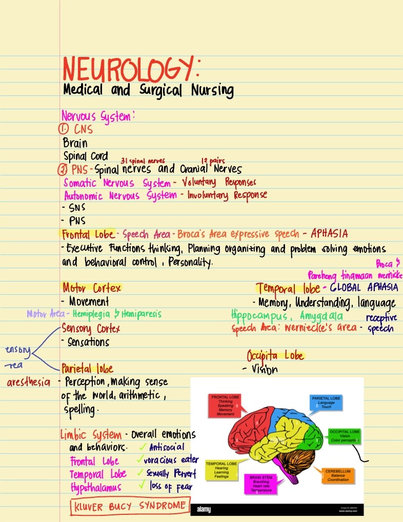 Doc Leni ( NEURO) - Notability Gallery