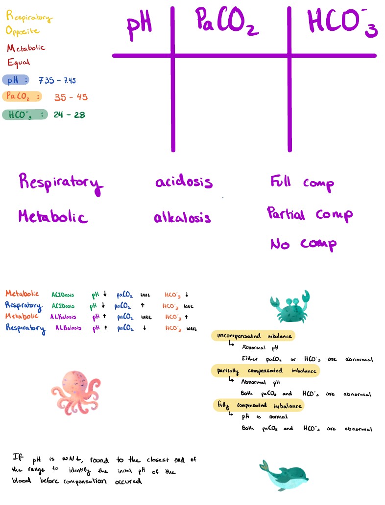 ABG Practice - Notability Gallery