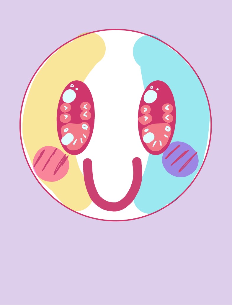 - Notability Gallery