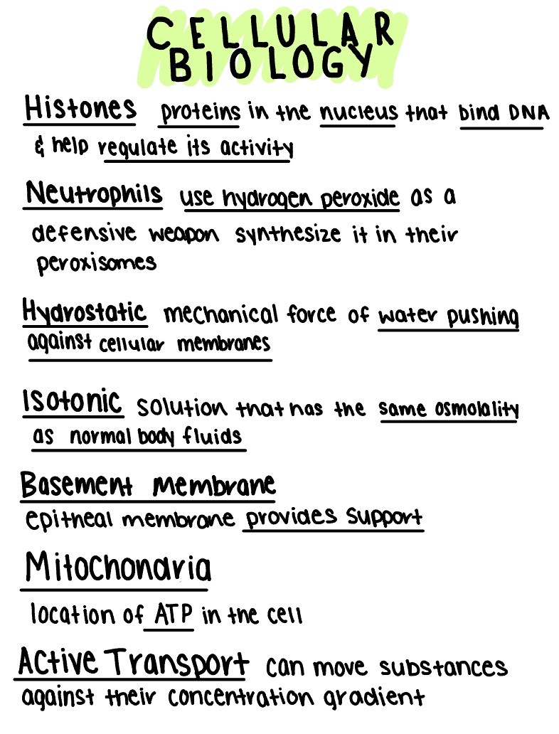 Patho Midterm - Notability Gallery