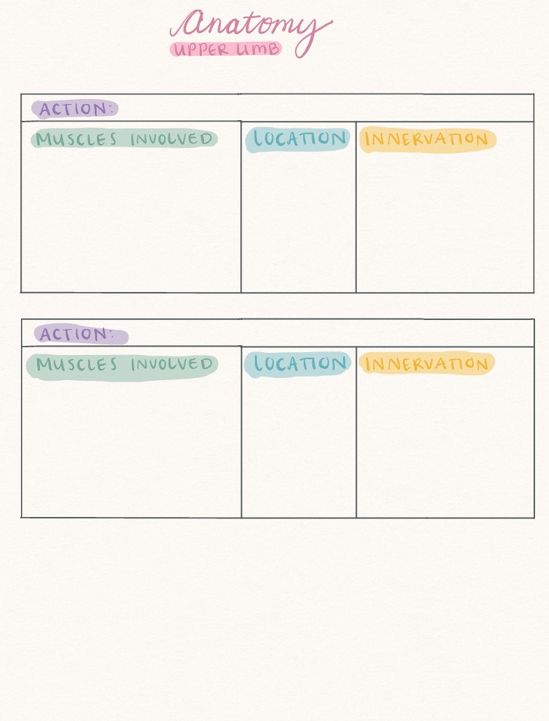 Anatomy Upper Limb Template - Notability Gallery