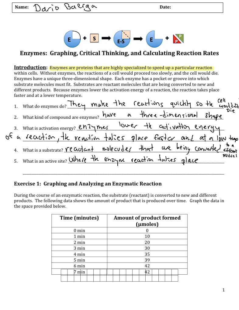 enzyme-graphing-lab-notability-gallery